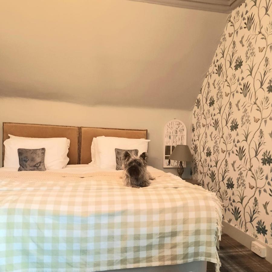 טומינטול Argyle Guest House מראה חיצוני תמונה